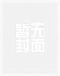 七级风
